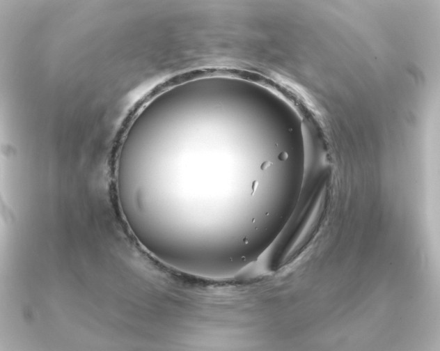X0000091171264200708091158