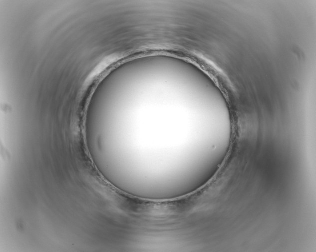 X0000091171266200708091158