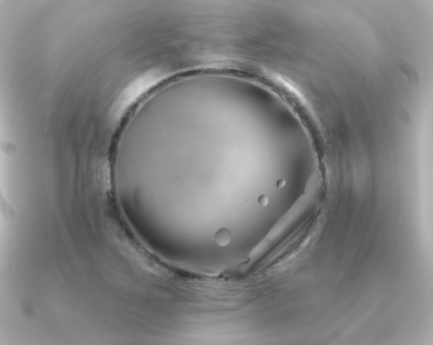 X0000091171267200708091158