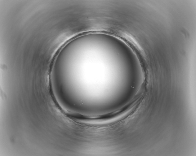 X0000091171268200708091158