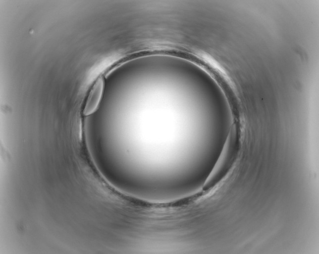 X0000091171269200708091158
