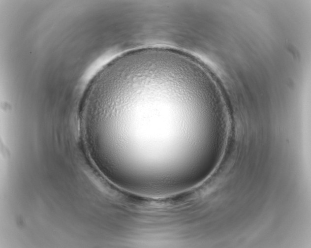 X0000091171271200708091158