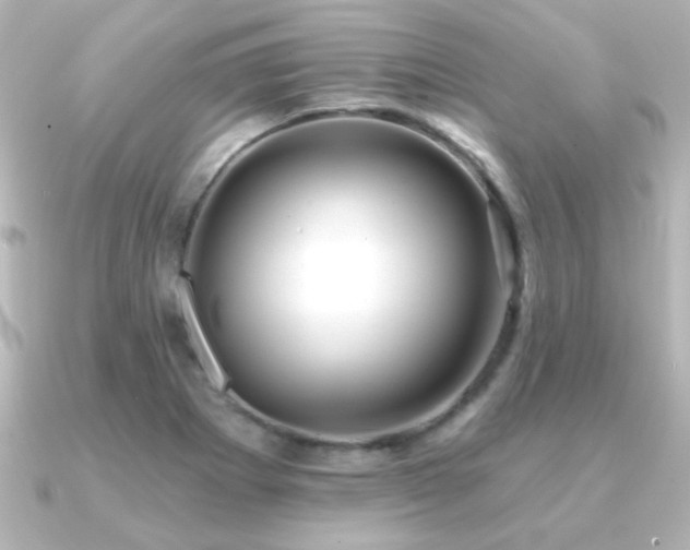 X0000091171273200708091158