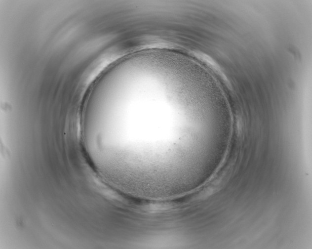 X0000091171274200708091158