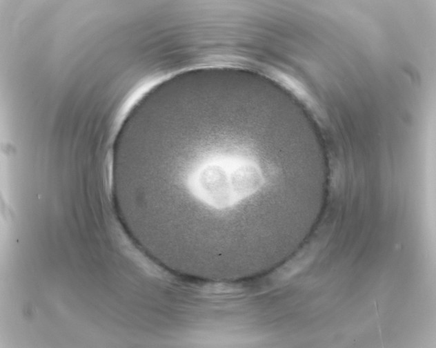 X0000091171275200708091158