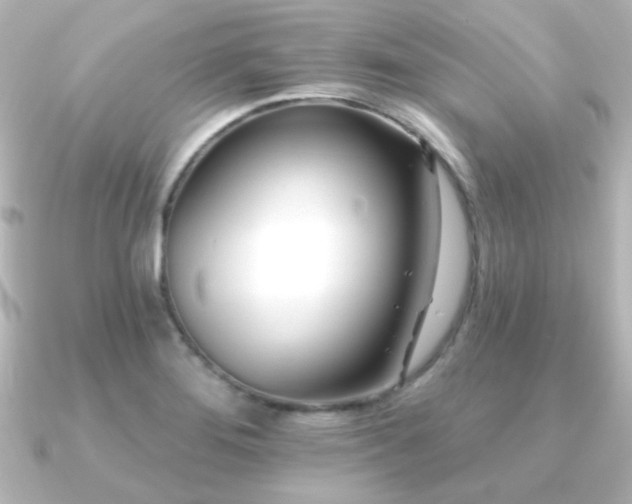 X0000091171276200708091158
