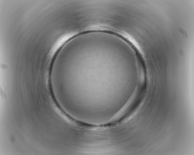 X0000091171277200708091158