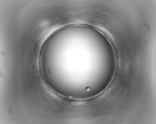 X0000091171278200708091158
