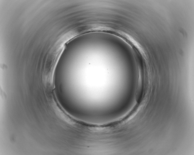 X0000091171281200708091158