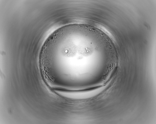 X0000091171283200708091158