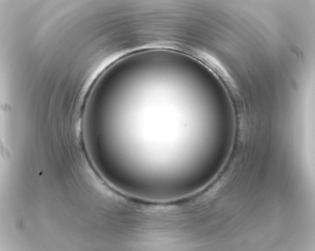 X0000091171284200708091158