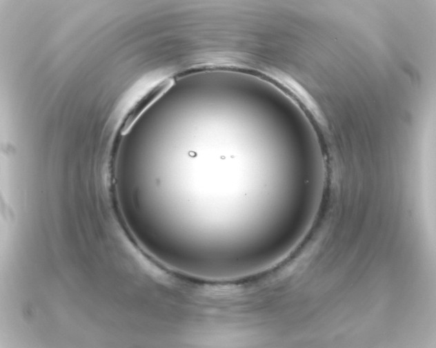X0000091171285200708091158