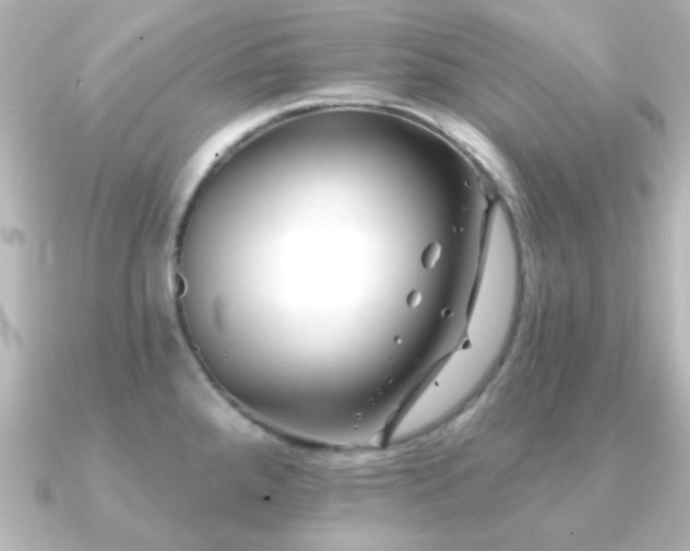 X0000091171288200708091158