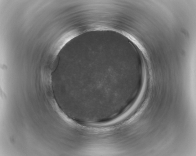 X0000091171289200708091158