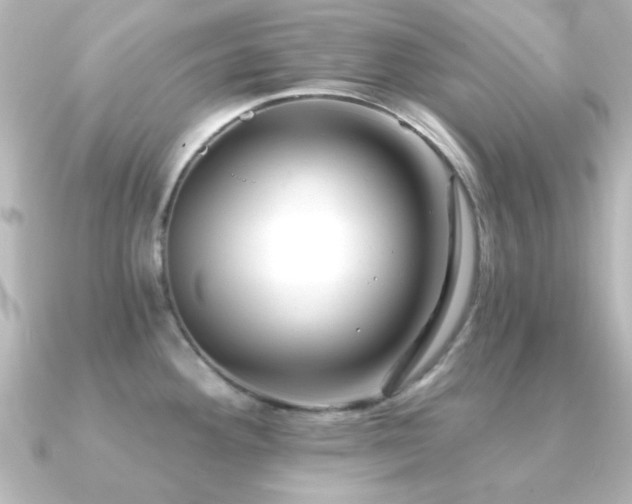 X0000091171292200708091158