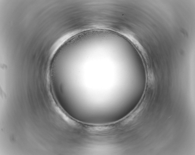 X0000091171294200708091158