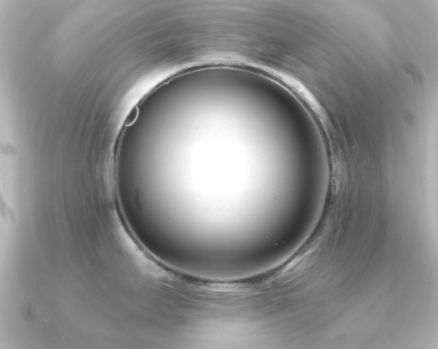 X0000091171295200708091158
