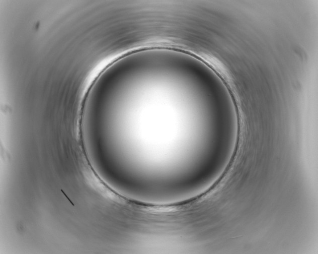 X0000091171296200708091158