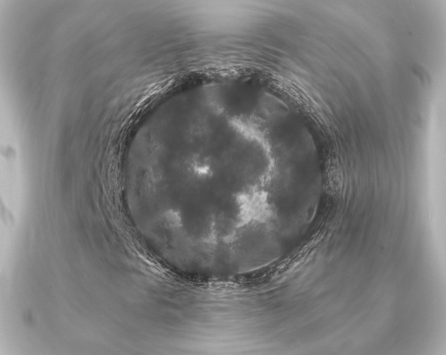 X0000091171297200708091157