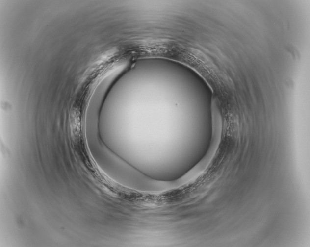 X0000091171298200708091157