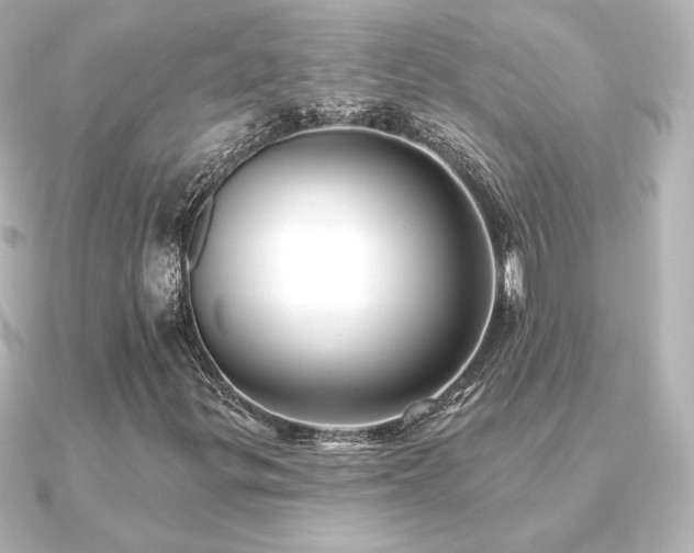 X0000091171299200708091157
