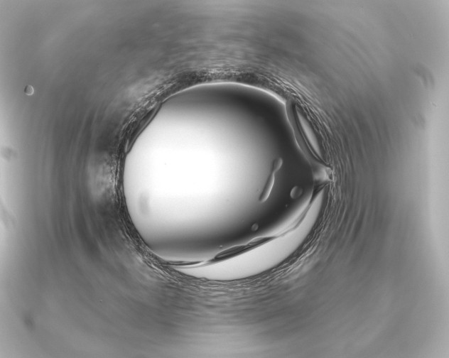 X0000091171300200708091157