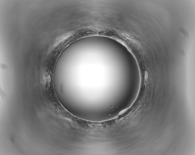 X0000091171302200708091157