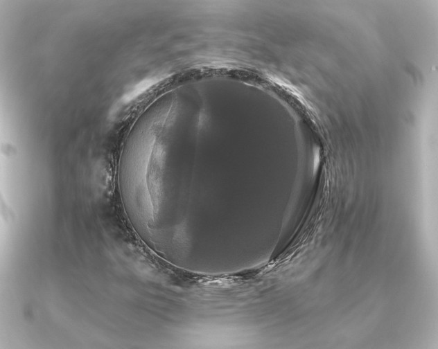 X0000091171303200708091157