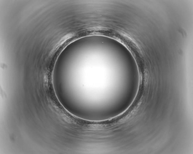 X0000091171305200708091157