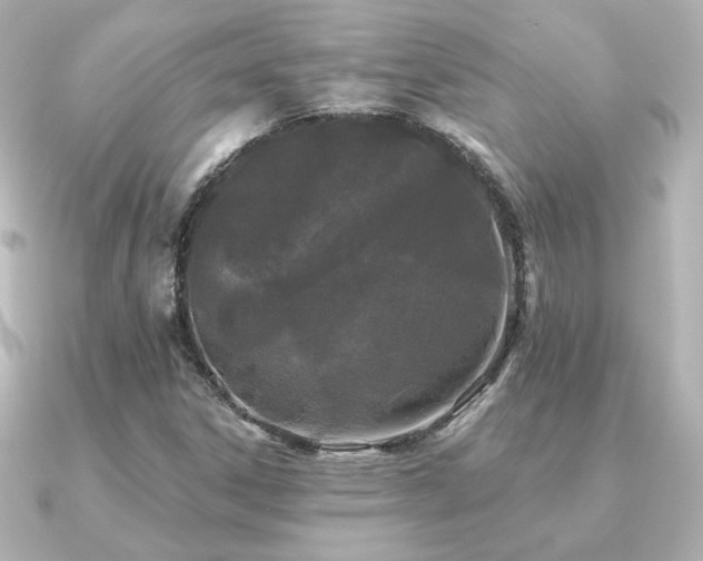 X0000091171306200708091157