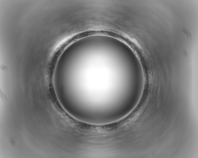 X0000091171311200708091157