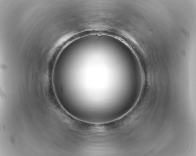X0000091171315200708091157