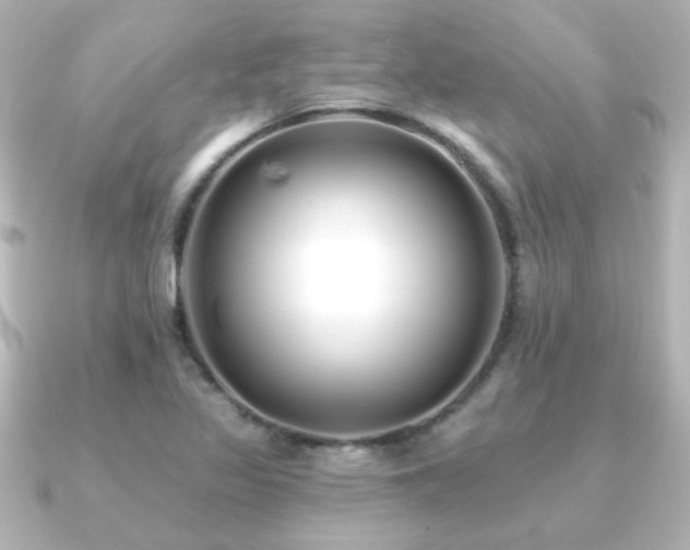 X0000091171317200708091157