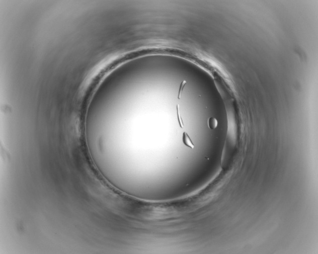 X0000091171318200708091157