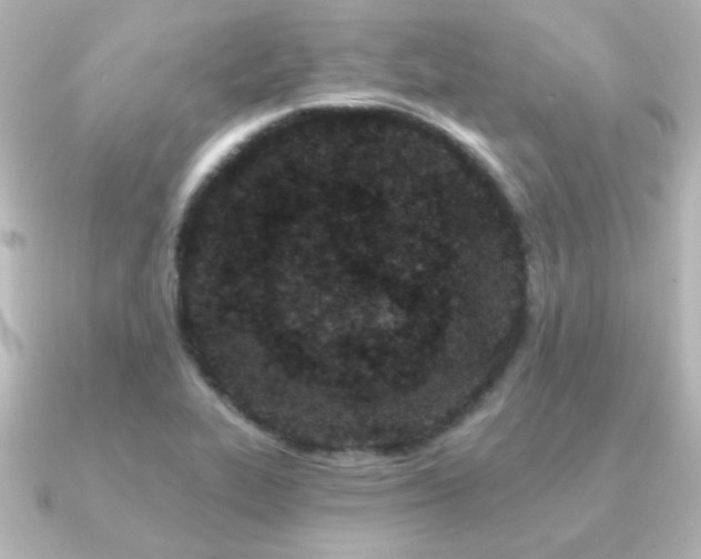X0000091171319200708091157