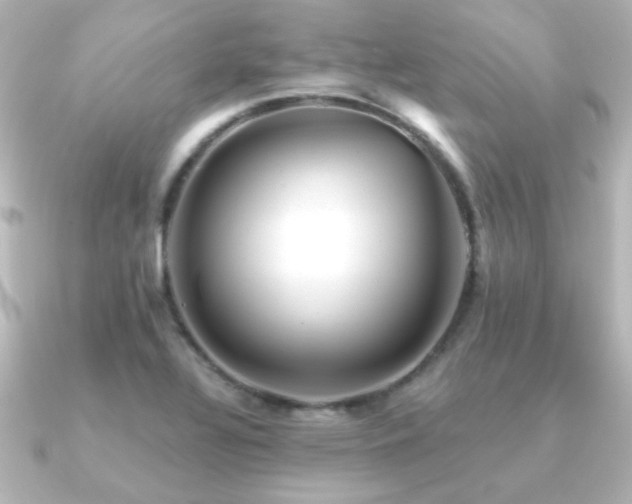 X0000091171320200708091157