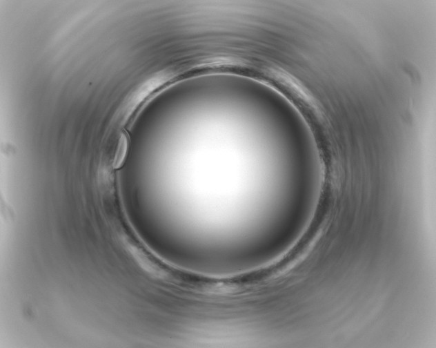 X0000091171321200708091157