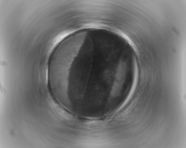 X0000091171323200708091157