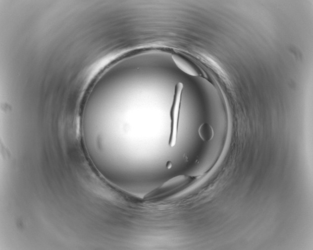 X0000091171324200708091157