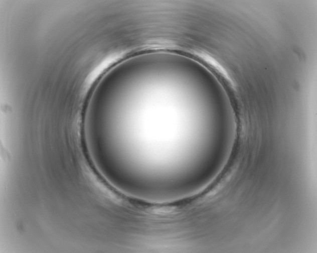 X0000091171325200708091157