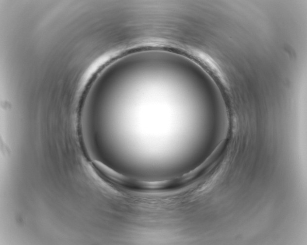 X0000091171326200708091157