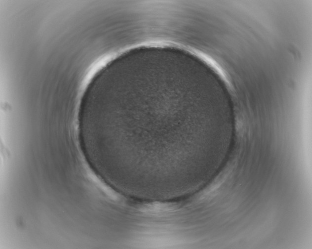 X0000091171327200708091157