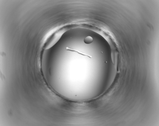 X0000091171328200708091157