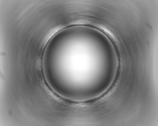 X0000091171329200708091157