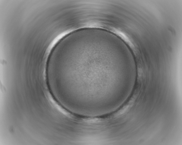 X0000091171331200708091157