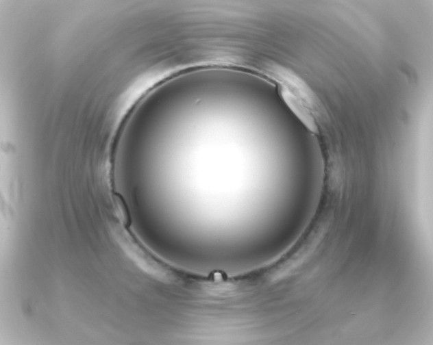 X0000091171332200708091157