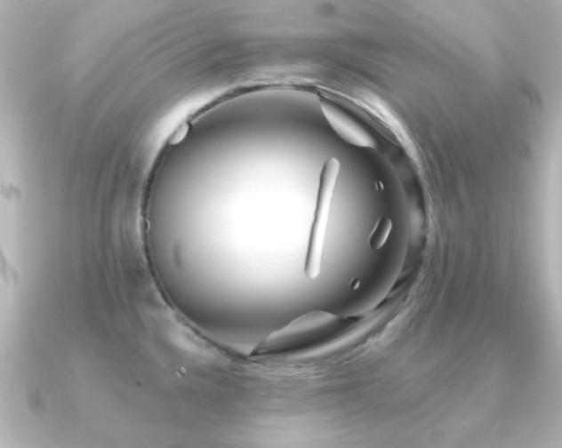 X0000091171336200708091157