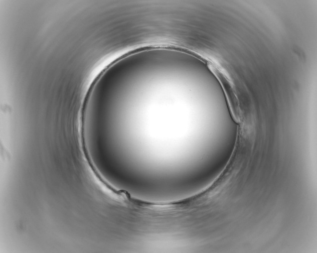 X0000091171343200708091158
