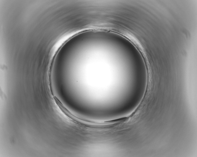 X0000091171344200708091158
