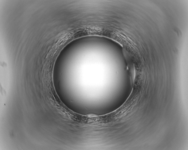 X0000091171345200708091157